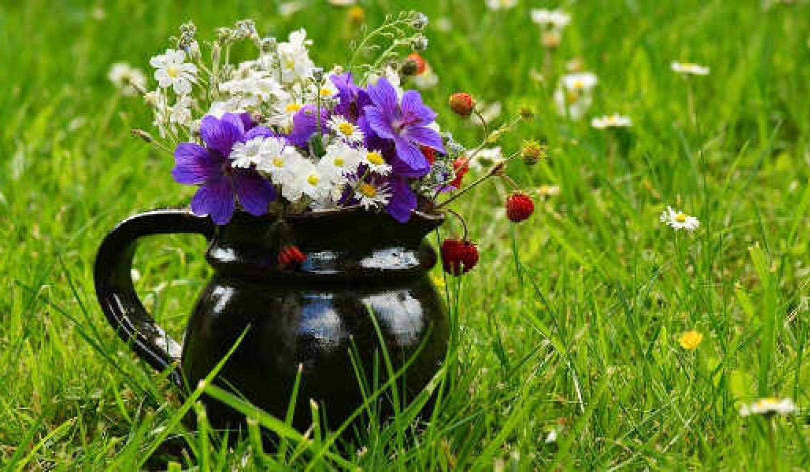 Embracing Wildflower Moments in Daily Life